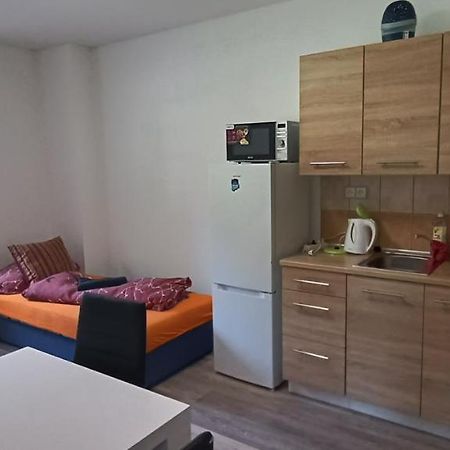 Appartement Apartmán u Lebedů à Strazny Extérieur photo