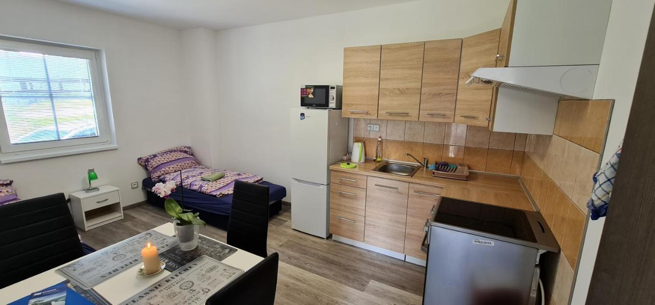 Appartement Apartmán u Lebedů à Strazny Extérieur photo