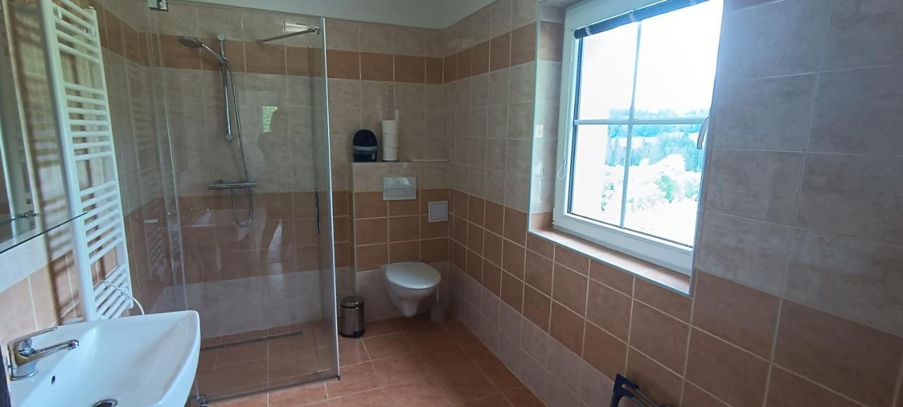 Appartement Apartmán u Lebedů à Strazny Extérieur photo